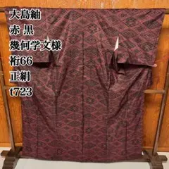 ⭐️オークション⭐️ 【大島紬】⭐️泥染⭐️生糸⭐️ 身丈 160cm裄丈