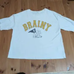 ニコアンドnikoand アニマルTシャツ