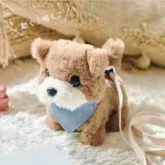 Item thumbnail for item e4bceb11-dbf3-445f-98a8-5cd5dc261ab2