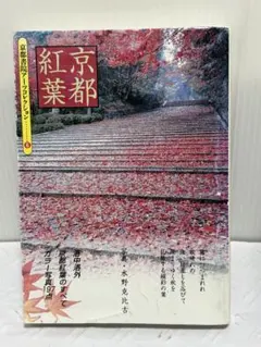 京都紅葉 京都書院アーツコレクション