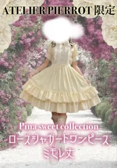中古】ZJ STORY アリスワンピース - メルカリ