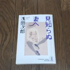 見知らぬ妻へ 【短編小説】