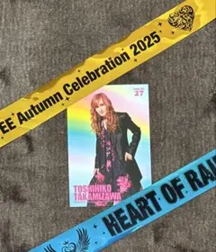 2025年最新】alfee 銀テープの人気アイテム - メルカリ