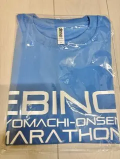 【Lサイズ】えびの京町温泉マラソン2026 参加賞Tシャツのサムネイル