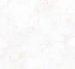 白兎様専用ページ 初兎 うちわ irregular vacation 特典