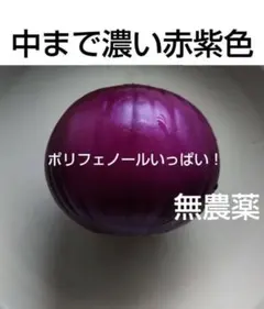 D赤玉葱「中まで濃い赤紫色」＜無農薬・有機肥料・抗酸化作用＞正味１.２kg 以上のサムネイル