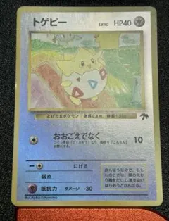 トゲピー サザンアイランド