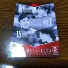 Item thumbnail for item 1cae6e98-3c30-4e1f-ab26-e154c46f09fd