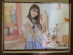 菅原咲月 ウォールデコ 乃木フェス リズムフェスティバル 乃木坂46 2026年最新】ウォールデコ 乃木フェスの人気アイテム - メルカリ