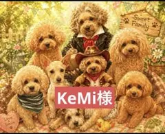 KeMi様専用ページ