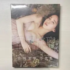 吉岡里帆 写真集 里帆採取 by Asami Kiyokawa