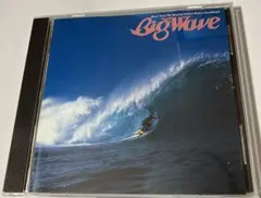 山下達郎/ Big Wave 30th Anniversary Edition - メルカリ
