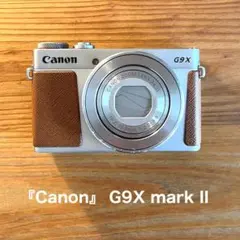 Item thumbnail for item c6fa278e-8104-4649-b023-306863b466eb