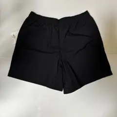ザ ノースフェイス　バーサタイルショーツ　新品 L