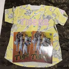 TORACOユニフォーム2025 クリアファイルセット