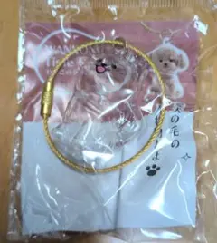 わんこのタイムカプセル♡ラテ