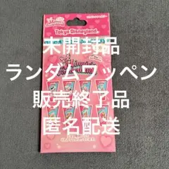【未開封】パルパルーザ ミニーのファンダーランド ワッペンアクセサリー