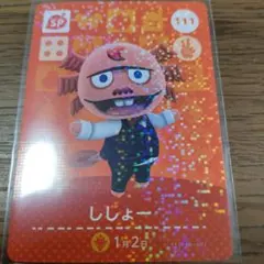 あつまれどうぶつの森　amiiboカード　ししょー