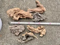 オーダーメイド依頼用】国産備長炭止まり木依頼フォーム - メルカリ