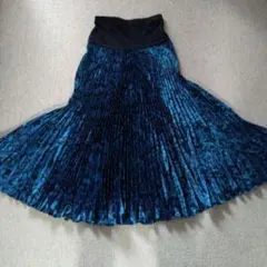 2026年最新】チャコット社交ダンススカートの人気アイテム - メルカリ