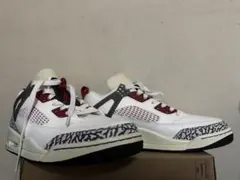 NIKE JORDAN SPIZIKE スパイジーク スパイズイック27,5cm
