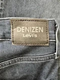DENIZEN Levi