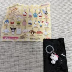 【匿名配送】サンリオキャラクターズ　めじるしアクセサリー　チャーミーキティ