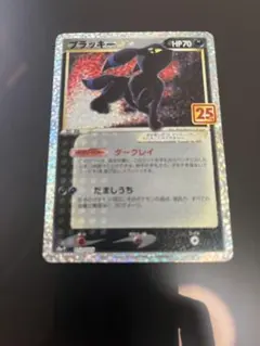 ブラッキー 25th