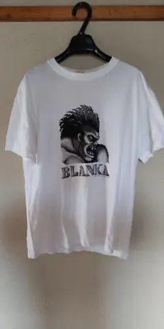 Item thumbnail for item f5322be3-9b57-4f14-bc8b-684de84100a4