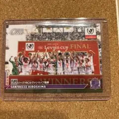 サンフレッチェ広島