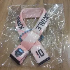 10 大島僚太選手　川崎フロンターレ