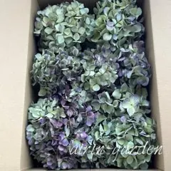 gigi様 リクエスト 2点 まとめ商品