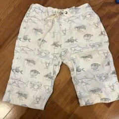 Item thumbnail for item 3ca28581-d88e-4f9c-83df-b13ef0befdb0