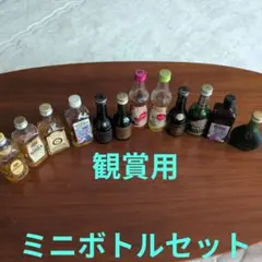 SUNTORY 他 ウイスキー リキュールなどミニボトル10本+1❣️ - メルカリ