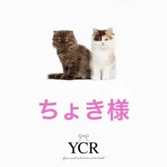 ちょき様専用　JIN ぬいぐるみ用Tシャツ3枚セット