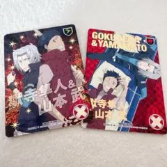 家庭教師ヒットマンREBORN！CCG【P2】獄寺&山本 雲雀&骸 2枚セット