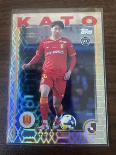 Item thumbnail for item aa7515f7-408f-4243-a328-b3ca59fe587d