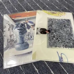 大野智 FREESTYLEクリアファイル2枚セット