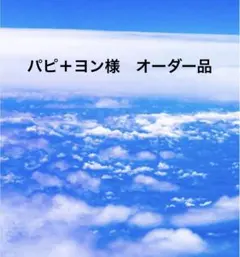 パピ＋ヨン様　専用ページ