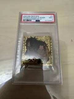 ワンピース ウエハース シールLOG.12 表ロジャーエース psa9