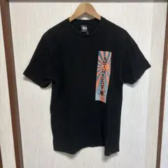 STUSSY ステューシー Tシャツ SADE シャーデー L プリント - メルカリ
