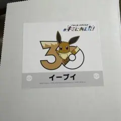 ポケモン30周年記念プロジェクト キミにあえた！ イーブイ ステッカーのサムネイル