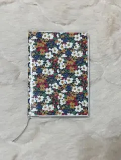 Item thumbnail for item 5ecbd400-abd4-4100-8693-4f58cfbfa5b1