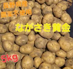 長野県産無農薬じゃがいも　ながさき黄金　5kgのサムネイル