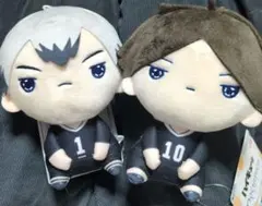 Item thumbnail for item dd3f546c-11bb-41d7-82fa-10611783be27