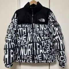 ザ・ノースフェイス NJ1DN51ノベルティ ヌプシ ダウンL