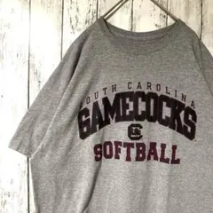 アメリカ古着ラッセルSouth Carolina Gamecocks Tシャツのサムネイル