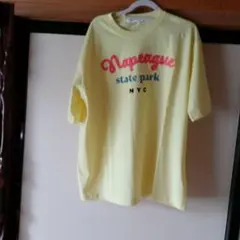 Dessin Napeague State Park Tシャツのサムネイル