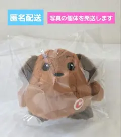 税関 カスタム君 10cmぬいぐるみマスコット　ちゃいろのサムネイル