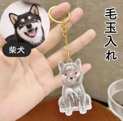 柴犬 犬の毛 収納ボトル キーホルダー けだまだま 毛玉入れ クリア メモリアル